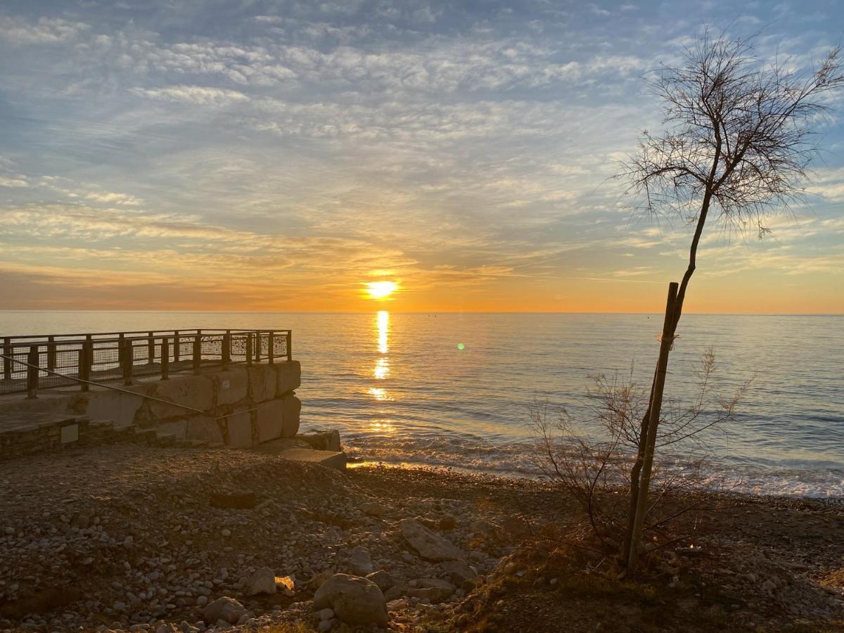 Mediterranean Dream Views Oropesa del Mar Εξωτερικό φωτογραφία